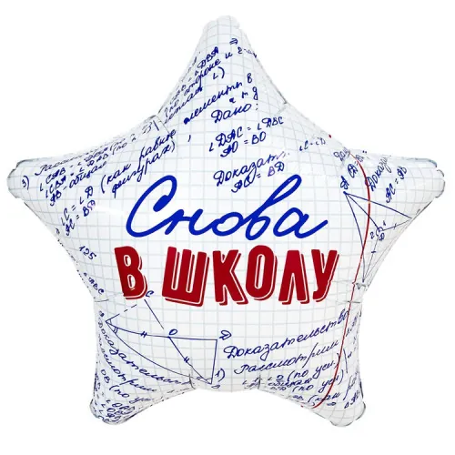 Звезда Снова в школу